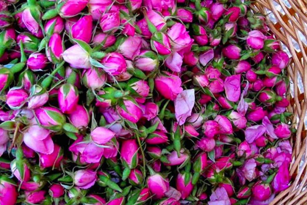Rozenknop - Gedroogde Rozenknopjes - Rozenknopje Rosa 100g