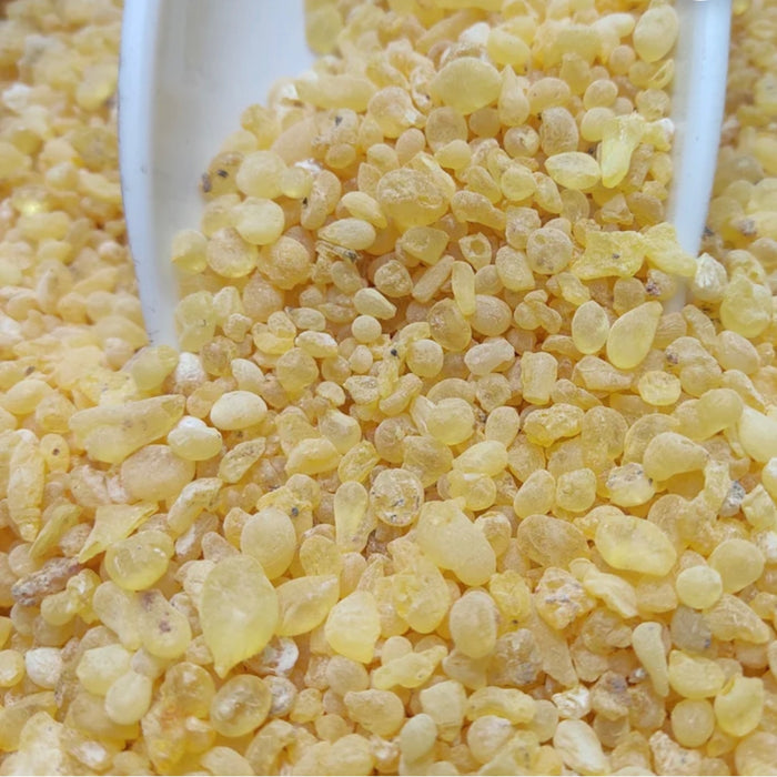 arabische gom , mastic gum (2g)